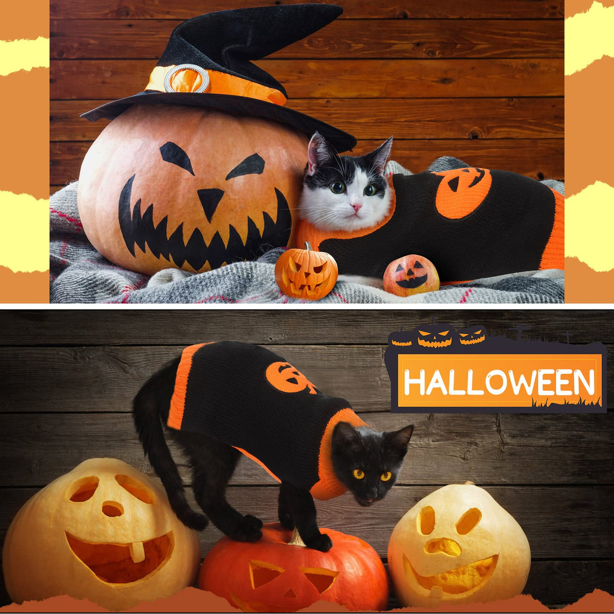 Sanwuta 3 Pieces Halloween Thanksgiving Christmas Dog Sweaters Sets Pumpkin Turkey Santa Puppy Dog Clothes Pet Knitwear for Puppy Doggie Cat Pet Costume (Medium)