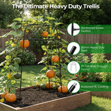 Garden Arch Trellis for Climbing Plants, 83" High Metal Cucumber Trellis & Tomato Cage, Rustproof Steel Tunnel Support for Squash, Pumpkin, Vegetables with Screw Fixation (32.3" L x 39.4" W)