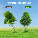 Jevrench Tree Stake Kits, Heavy Duty Tree Stakes and Supports Kits for Young Trees Against Bad Weather, 6 Pcs Tree Stake, 6 Pcs Tree Straps, 2 x 32.8 FT Rope