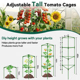 Halatool 3 Pack 60 Inch Adjustable Tomato Cages for Graden