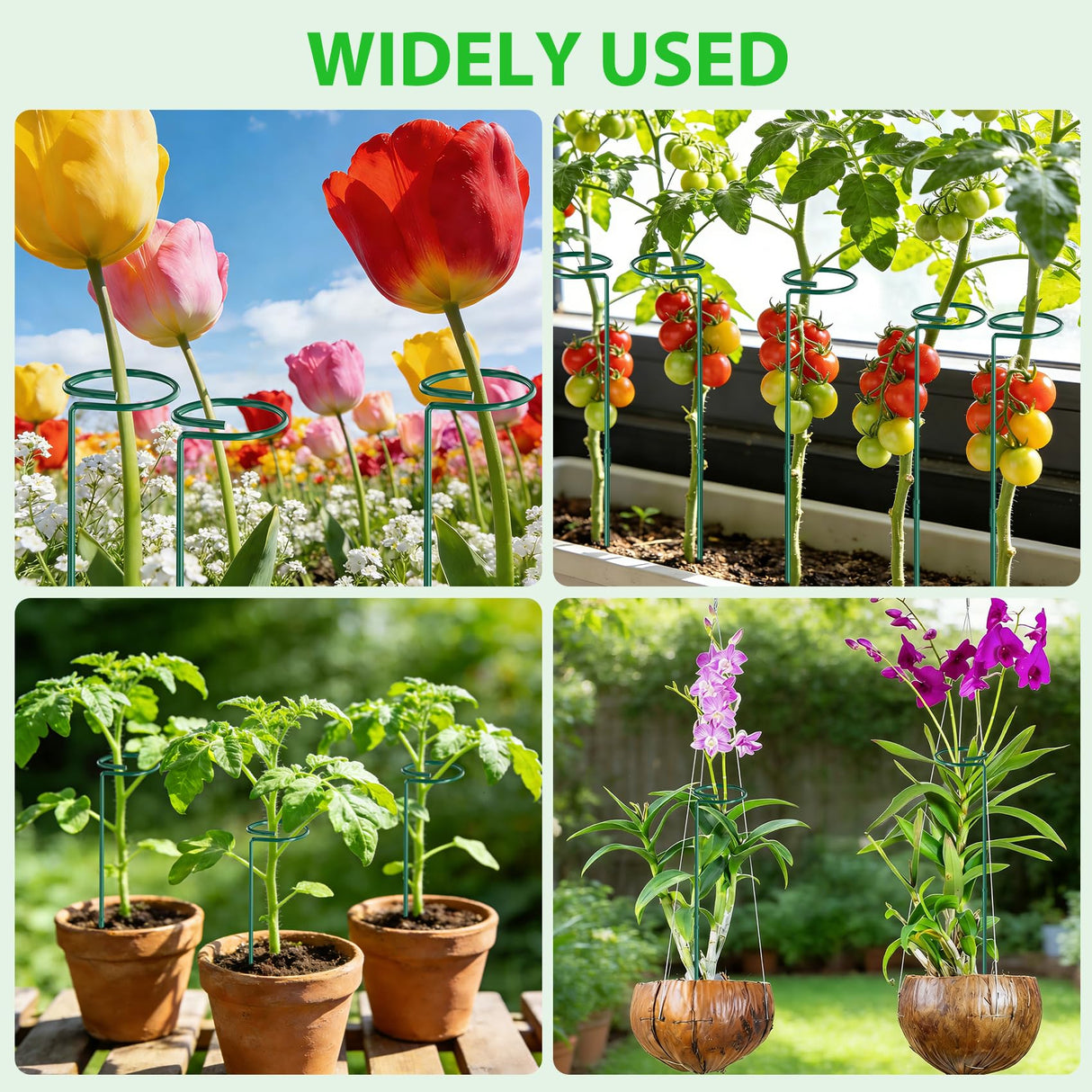 Unves 12 Pack Plant Support Stakes, 36 in Plant Stakes(36 or 24 or 12 Inch)