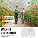 VEVOR Walk-in Tunnel Greenhouse, 9.6x6.4x6.2 ft Hoop House Greenhouse Tunnel, Plant Hot House with Galvanized Steel Frame, White PE Cover, Roll-up Zipper Door and 6 Windows for Outdoor