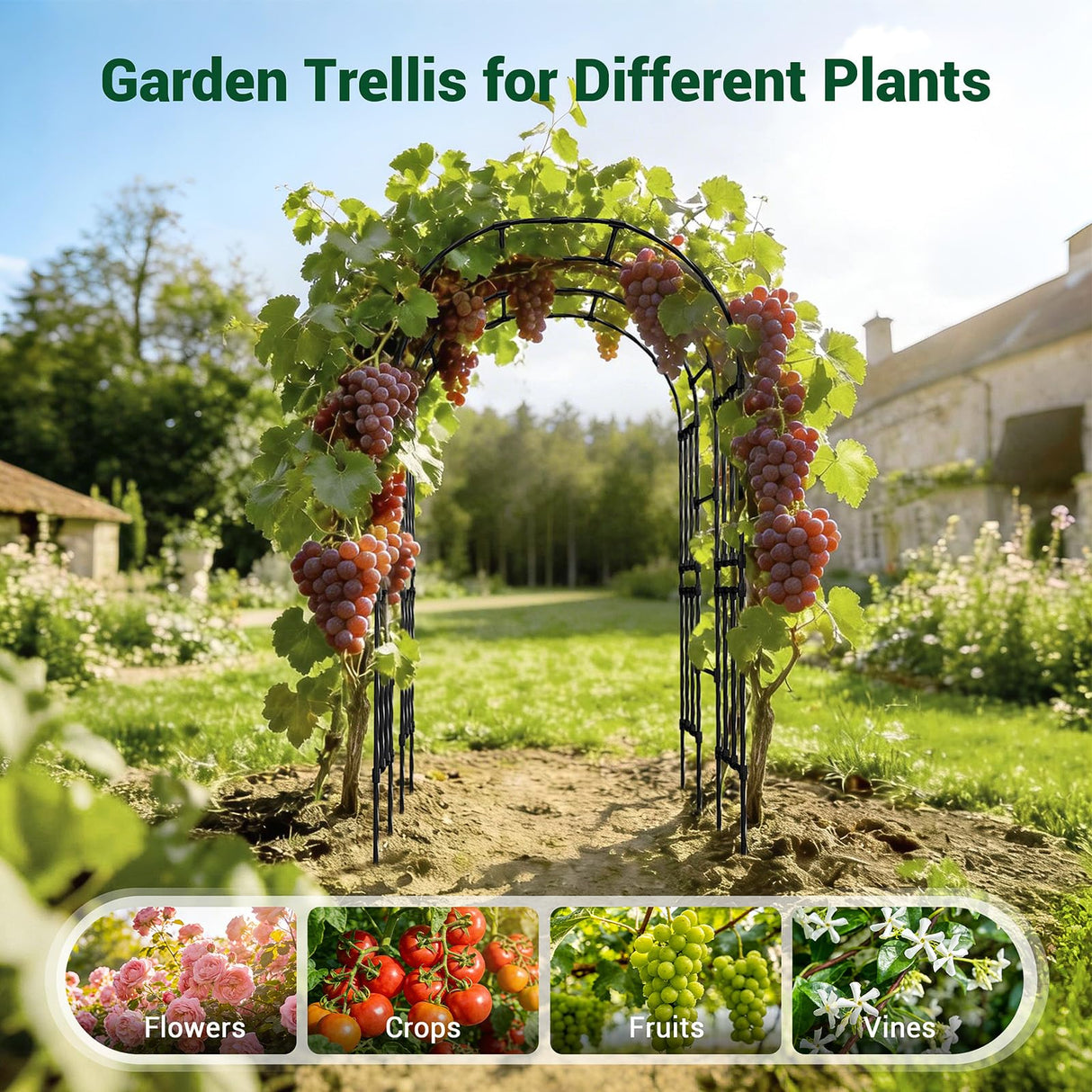 Miory Garden Arch Trellis for Climbing Plants Outdoor, 3.9x7.9ft Steel with PE Coating, Garden Archway for Vegetable, Vines, Wedding Arbor (Black)