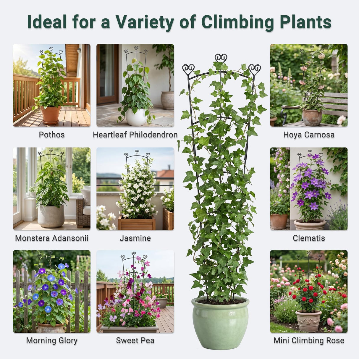 46.6" Tall Plant Trellis for Climbing Plants Indoor Outdoor, Durable Metal Trellis for Potted Plants, Adjustable Climbing Plant Support for Vines, Clematis, Morning Glories, Ivy, Black, 2 Pack