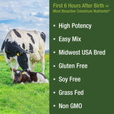 First Milking Colostrum Powder from Grass Fed USA Cows Milked Within 6 Hours of Giving Birth to Get The Most Bioactive Nutrients. High Immunoglobulin Bovine Colostrum Supplement for Humans