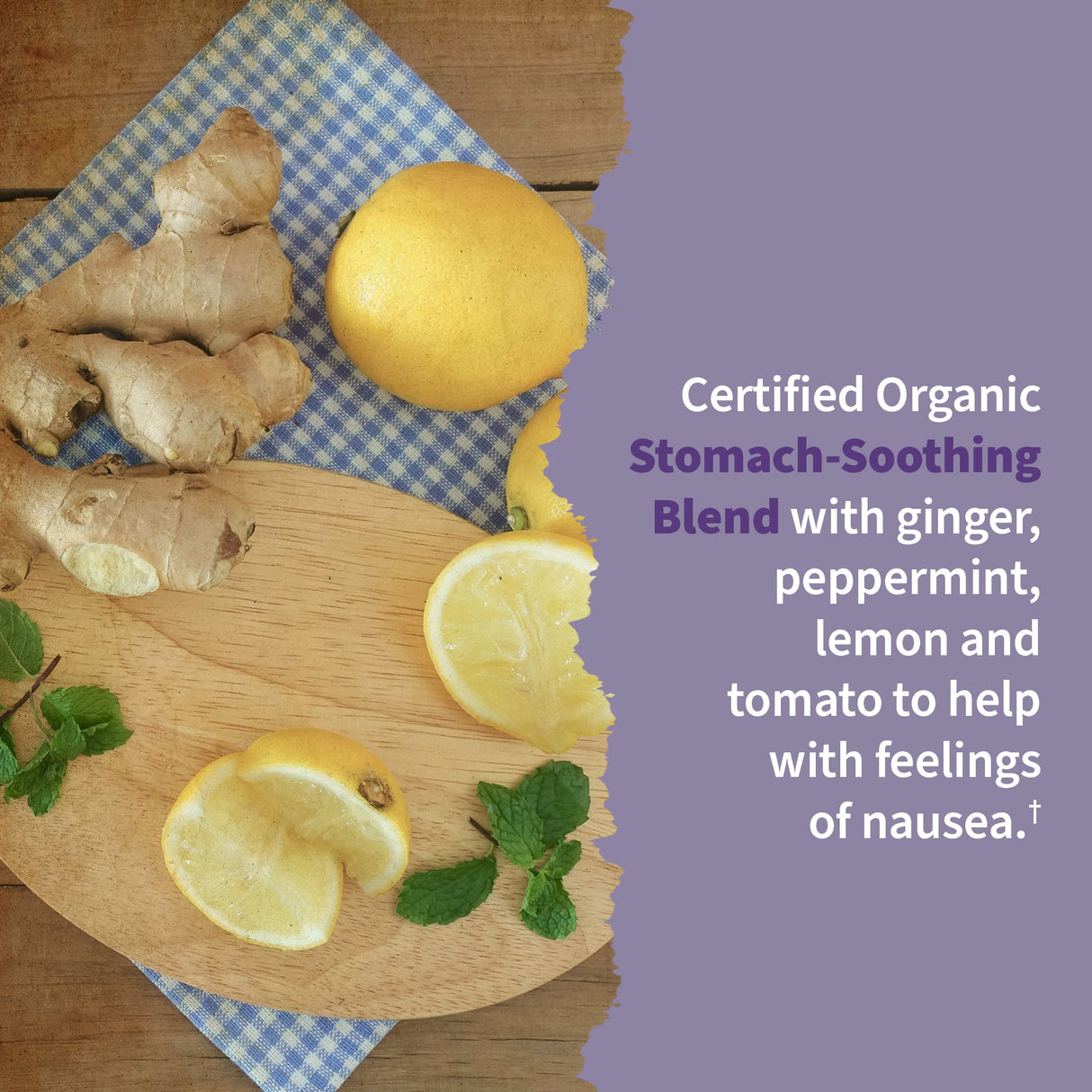 Garden of Life Prenatal Vitamins Organics Prenatal Multi - 90 Tablets, Vegan Whole Food Multivitamin, Folate not Folic Acid & Stomach Soothing Blend, Organic Prenatals Supplements for Women