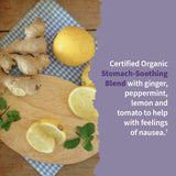 Garden of Life Prenatal Vitamins Organics Prenatal Multi - 90 Tablets, Vegan Whole Food Multivitamin, Folate not Folic Acid & Stomach Soothing Blend, Organic Prenatals Supplements for Women