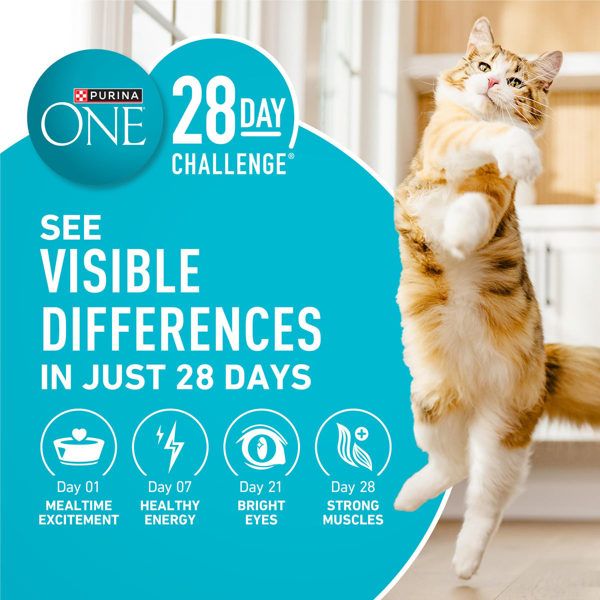 Purina ONE Tender Selects Dry Cat Food, Chicken, 7 lb Bag