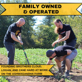 Pine Pollen Powder Wild Harvested - 99% Cracked Cell Wall | Supports Healthy Energy & Longevity (50 Grams)