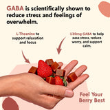 PYM Berry Mood Chews Support for Stress, Worry & Overwhelm, 60 Count | 130mg GABA, 90mg L-Theanine | Vegan, Non-GMO, Gluten-Free, No Added Sugar | All-Natural Mood Balance Supplement Made in USA