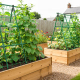 A-Frame Cucumber Trellis for Raised Bed - 47 x 47in, Heavy-Duty Detachable Garden Trellis with Netting & Clips, Support for Climbing Outdoor Cucumber, Tomatoes, Luffa, Bitter Melon, Vining Flowers