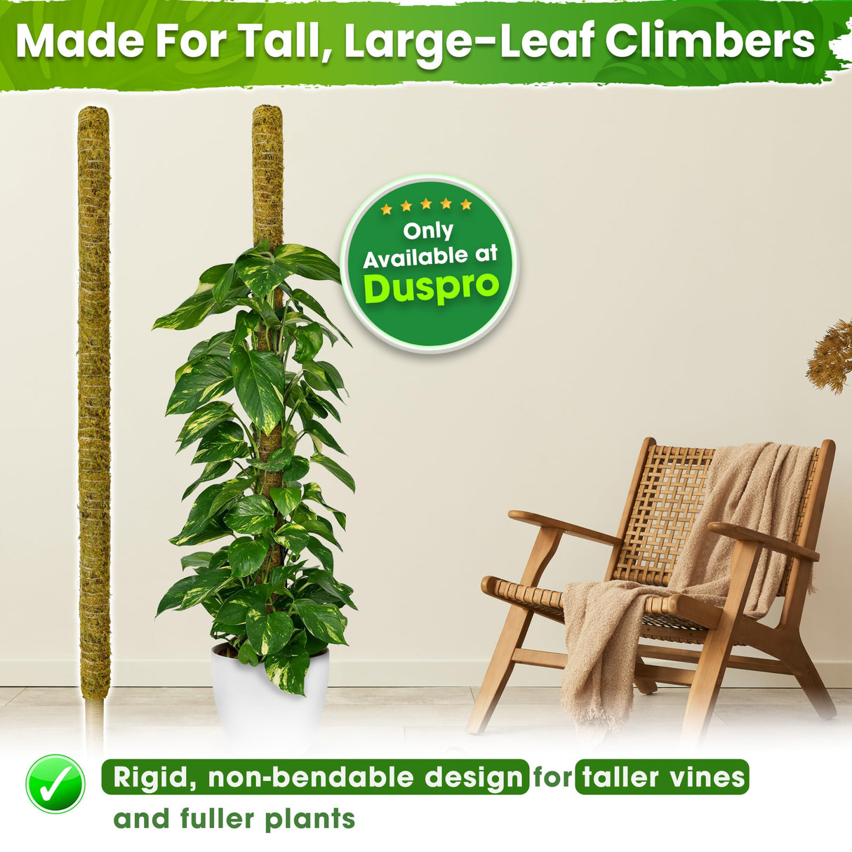 DUSPRO 59" Natural Large Moss Pole for Big & Mature Plants, (1pc., 59'')