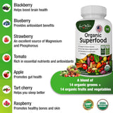 AAMATEC LIFE Organic Superfood Greens Fruits and Veggies Complex - Dietary Supplement with 14 Greens &14 Vegetables with Alfalfa Rich in Antioxidants Organic Ingredients Non-GMO (120 Count Pack of 2)