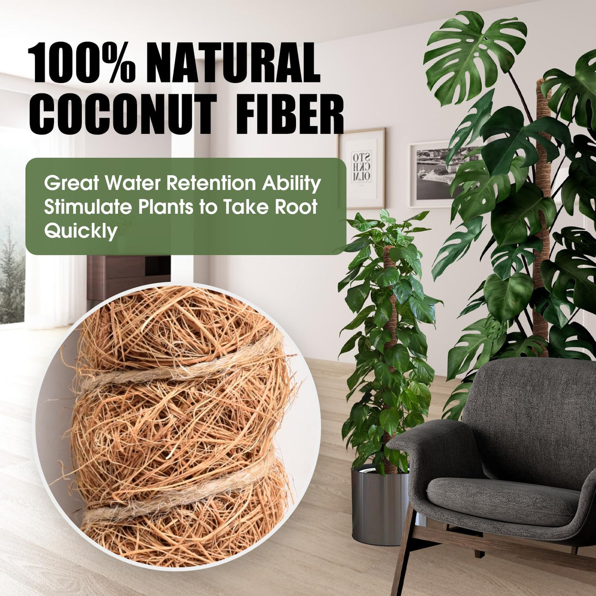 2 Pack Moss Pole 63 Inch Monstera Plant Sticks Support Tall Long Stakes