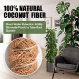 2 Pack Moss Pole 63 Inch Monstera Plant Sticks Support Tall Long Stakes