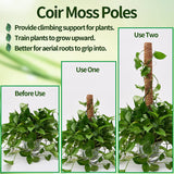 Eibikdi 101in Moss Pole for Plants Monstera 8 Pcs