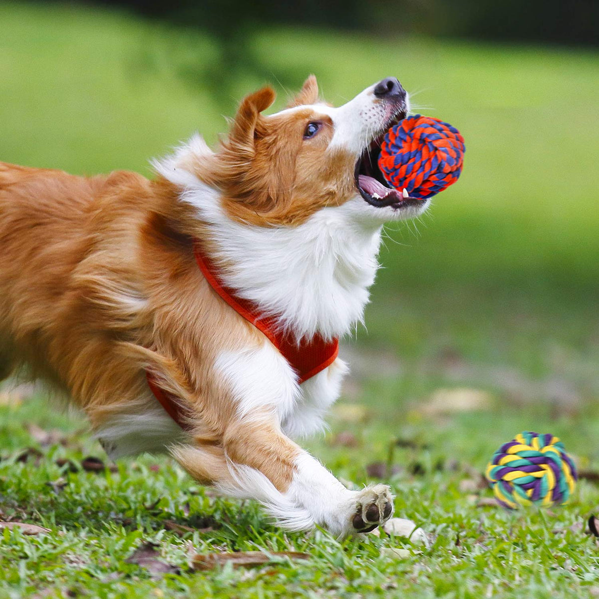 SHARLOVY Large Tough Chew Toys for Aggressive Chewers, 9 Pack Dog Rope Toys