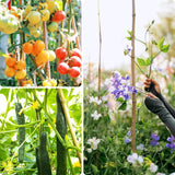 Cambaverd Bamboo Stakes 3ft, 50 Pack Bamboo Garden Stakes 3 Feet, Natural Plant Stakes for Tomatoes and Climbing Plant Support, Bamboo Sticks for Plants