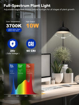 GLOWRIUM Smart Grow Lights for Indoor Plants,10W Full Spectrum Plant Lights with Bluetooth App Control, 360° Flexible Gooseneck Grow Lamp, Auto Timer 3/9/12Hrs, 10 Brightness for Small Plants, Black