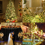 CXLHO Clear Christmas Lights 66FT 200 Incandescent Bulbs Warm White Mini Lights with Black Wire for Christmas Tree, Garland, Thanksgiving, Wedding, Party, Home, Indoor & Outdoor Festival Decoration