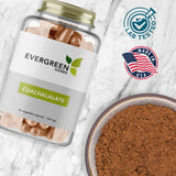 Evergreen Herbs Cuachalalate Herb (Amphipetyglum Adstringens) - Resealable Stand Up Pouch to Ensure Freshness! (Capsules)