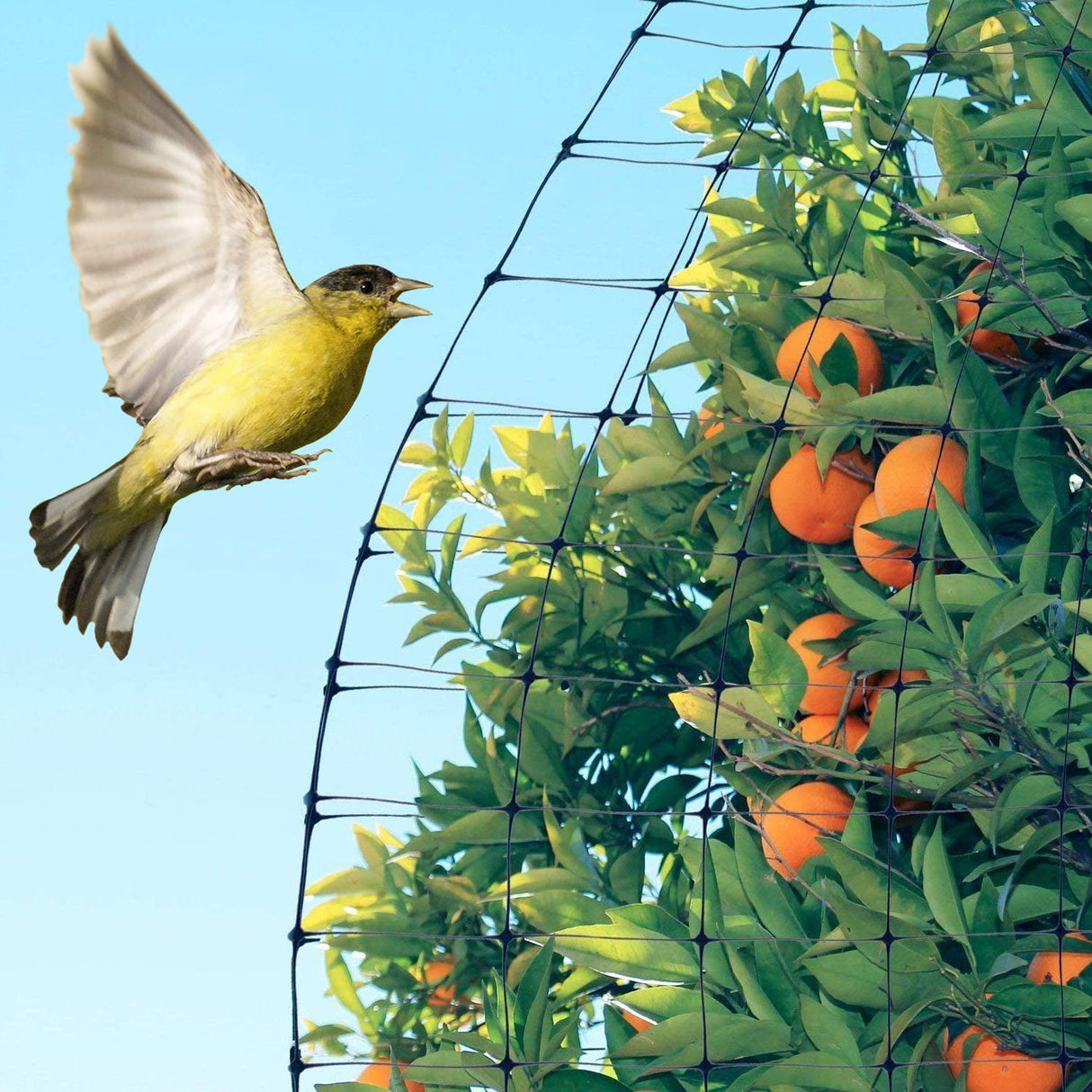 Feitore Deer Fence Netting, 7x100ft Garden Net Bird Netting,Reinforced Edge