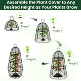 6 Pack Garden Cloche Plant Protectors from Animals, Adjustable 3-Tier Chicken Wire Plant Cages for Outdoor Plants, Stackable Metal Garden Cloches Keep Rabbits, Squirrels & Birds Away, 17.3" x 11.4"