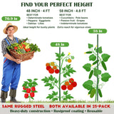 FORUP Garden Stakes, 25 Pack Steel Plant Stakes with Plastic Coating for Climbing Plants, Tomato Eggplant Bean Support, Rust-Resistant Outdoor Garden Stakes (58 Inch)