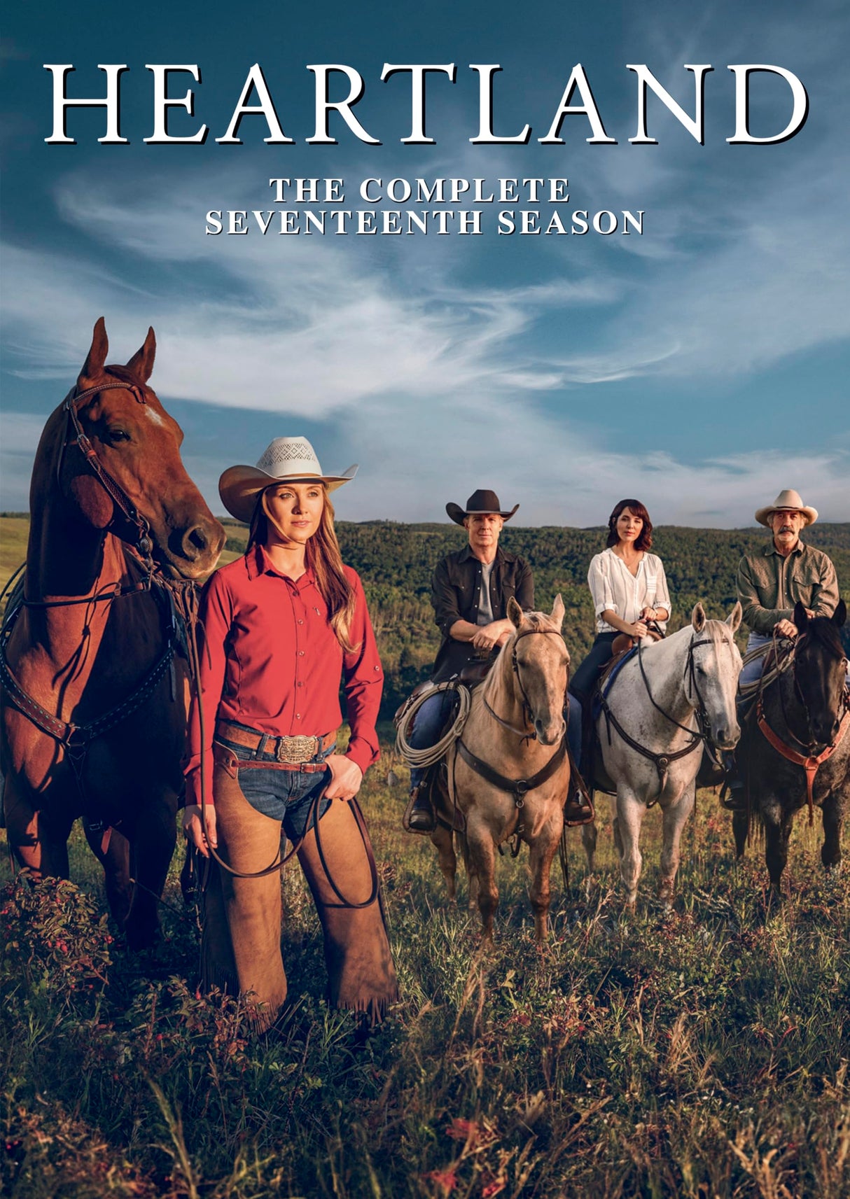 Heartland Season 17 [DVD]
