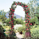 Metal Pergola Arbor, 4.6 ft W x7.9 ft High,Assemble Freely Light Weight