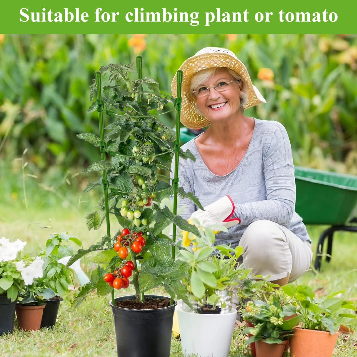 Legigo 6 Pack 30 Inch Plant Support Cages Tomato Cage for Garden- Plant Cages Adjustable Rings, Tomato Plant Support Stakes Trellis for Pots, Peppers, Cucumbers and Flowers with 10 Plant Clips