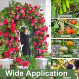 80 Inch Tall Garden Arch Trellis for Climbing Plants Outdoor, Grape Trelli Metal Vine Plants Support Flower Vegetable Tomato (Black, 33" L x 33" W x 80" H - Arch Trellis)
