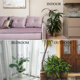 30 Inch Trellis for Climbing Plants Indoor 3 Pack Indoor Plant Trellis for Potted Plants Metal Garden Trellis for pots Indoor Outdoor for Monstera Pothos Vine Ivy Hoya(30inch Black)