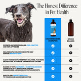 Pet Honesty Chlorhexidine Dog Shampoo Itchy Skin Relief, Anti-Itch, 16oz