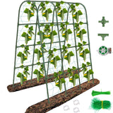 65"×50" Cucumber Trellis for Raised Bed,Tall Metal Arch Garden Trellis for Climbing Plants Outdoor,Vegetables,Plant Support Peas,Fruit,Flower,Grape,Tomato, Bean