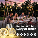SOLPEX Hanging Solar Lights for Outside Garden Solar Hanging Lanterns 12 Pc