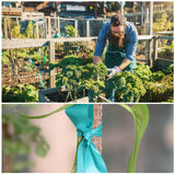 TELENT OUTDOORS 4 Rolls Stretch Tie Tape, 1” Wide 200FT Reusable Garden Plant Ties Green Tapes for Plants, Thick Garden Vinyl Stake Ribbon for Branches Flowers Tomatoes Indoor Outdoor Greenhouse