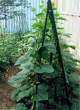 TINGYUAN Garden Stakes 30 Inches Steel Plant Stakes Tomato Stakes Pack of 25
