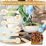 Sunwinx 16LB Organic Leca Clay Pebbles for Plants, 4-16mm Natural Leca Ball