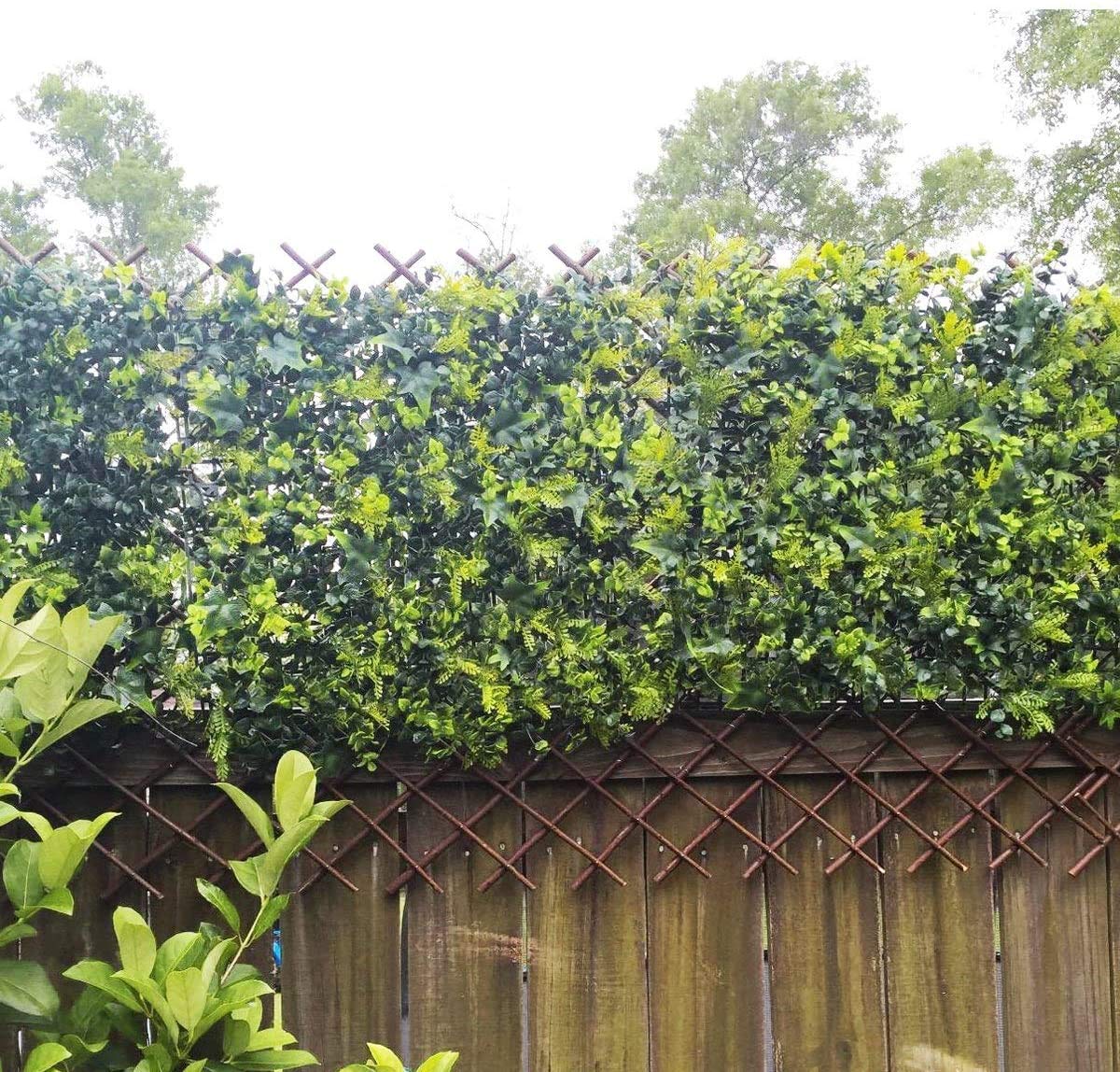 Sumery Nature Willow Trellis Expandable Plant Support Plant Climbing Lattices Trellis Willow Expandable Trellis Fence for Climbing Plants Support 36x92 Inch,Double Panel (1, Willow Wicker Fence)