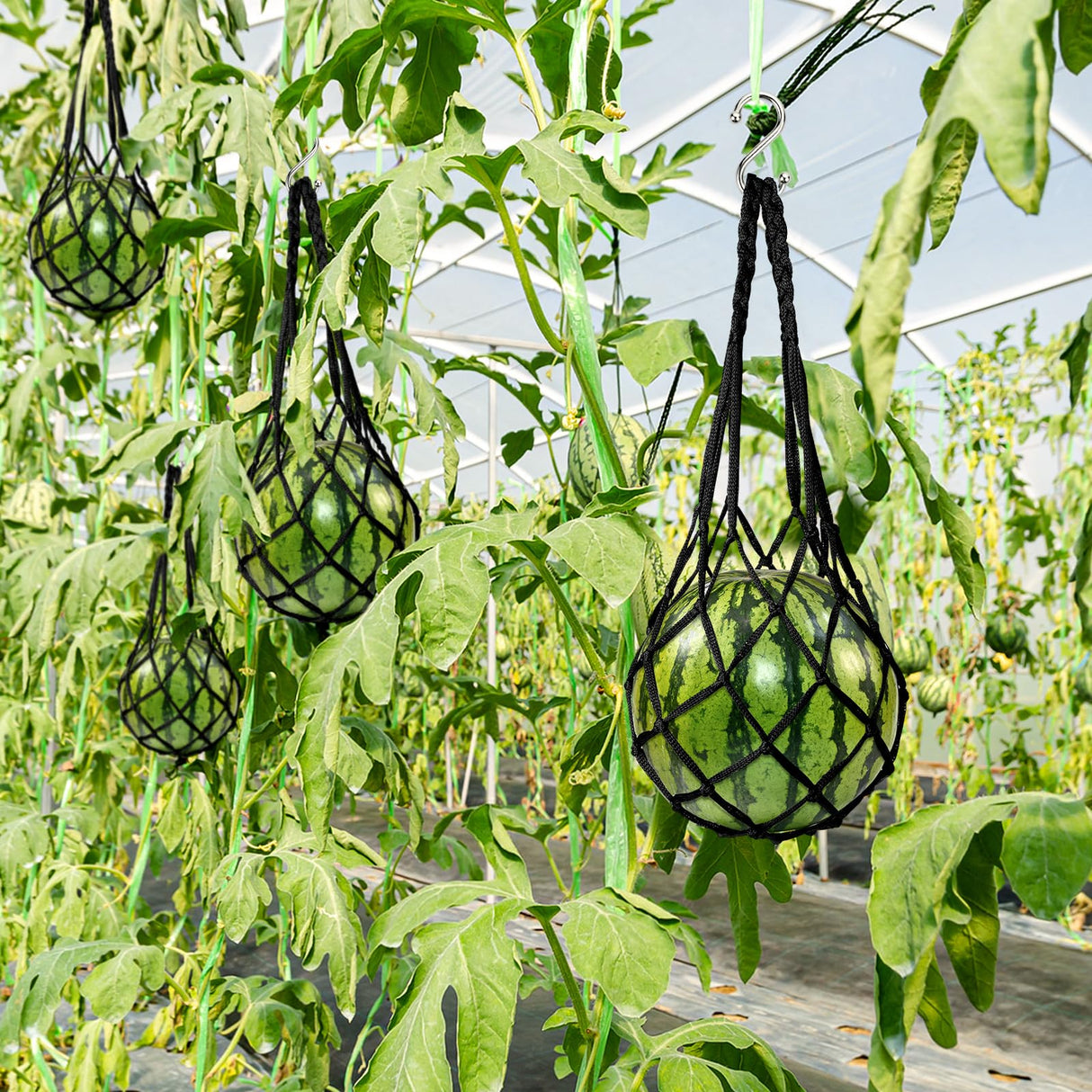 12 Pack Melon Hammock Watermelon Nets with S Hanging Hooks, Melon Cradle for Garden to Prevent Falling, Heavy Duty Watermelon Mesh Bag for Growing Cantaloupe Pumpkin in Vertical Garden (Black)