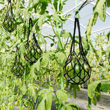 12 Pack Melon Hammock Watermelon Nets with S Hanging Hooks, Melon Cradle for Garden to Prevent Falling, Heavy Duty Watermelon Mesh Bag for Growing Cantaloupe Pumpkin in Vertical Garden (Black)