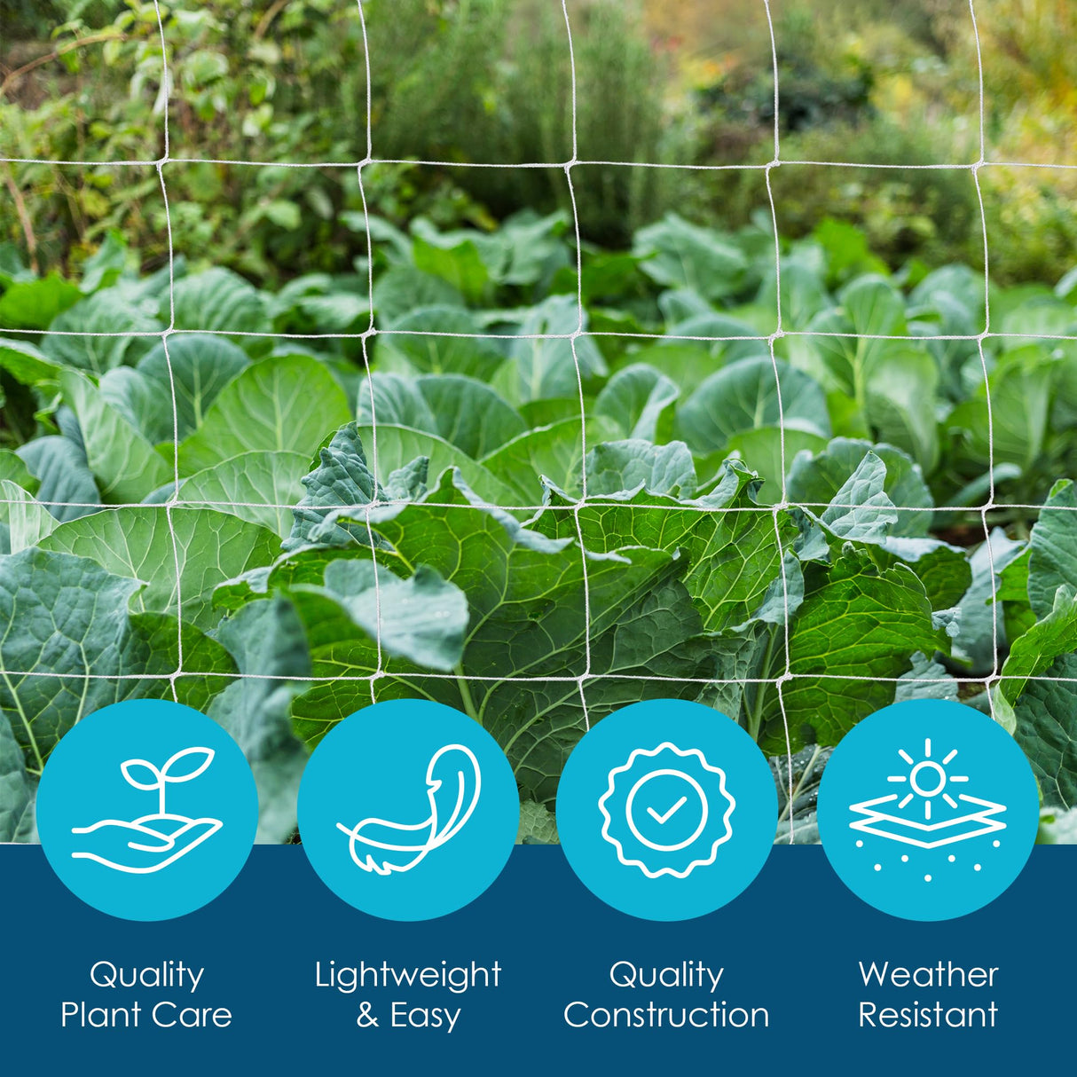Trellis Netting, Hortonova Netting, Scrog Net, Trellis Net, 6x6 Squares