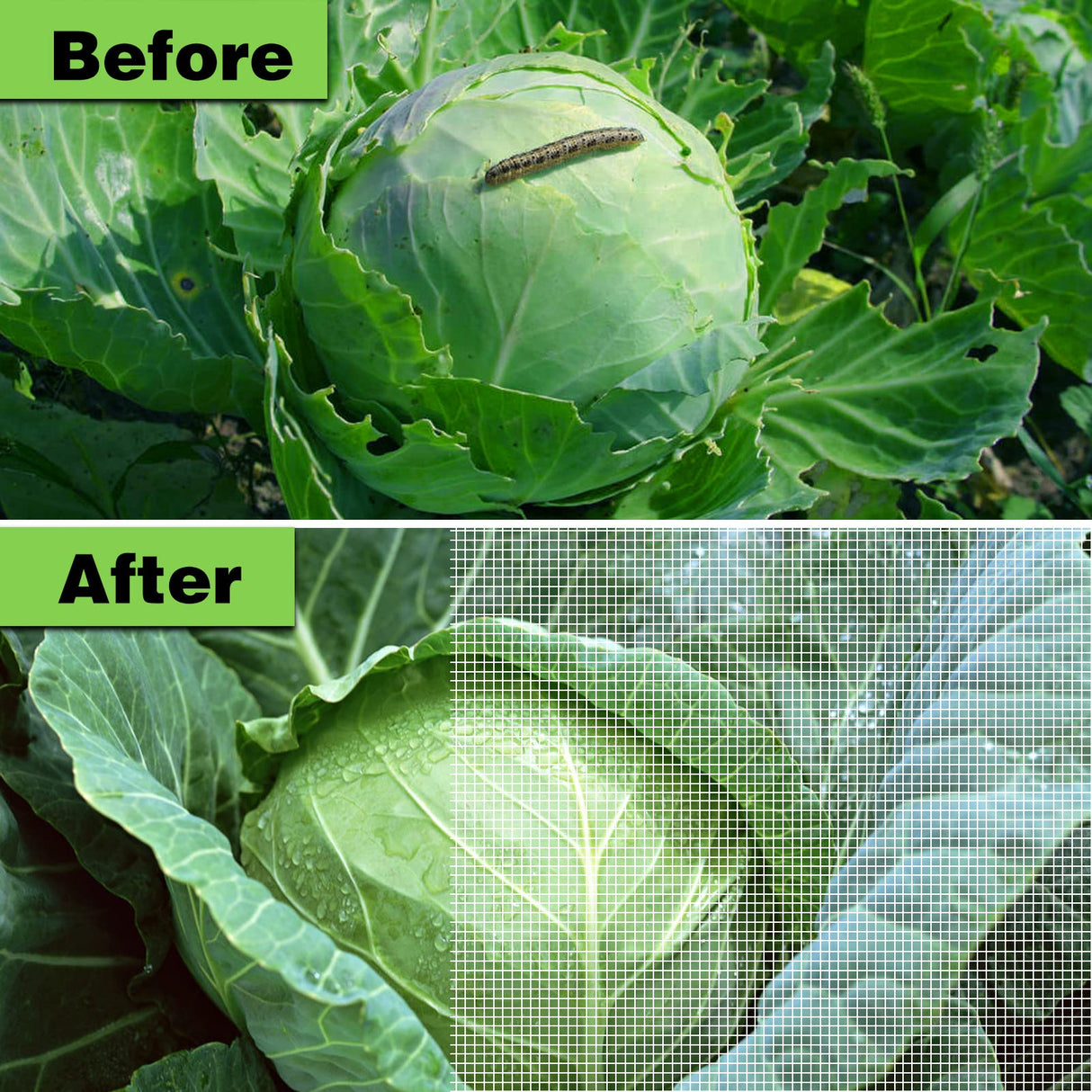 Garden Netting 10x33ft Ultra Fine Insect Netting Barrier Mesh for Plants