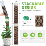 Sisher 6 Pcs Monstera Moss Pole,Plastic Moss Poles for Climbing Plants
