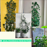 IA Garden Trellis for Climbing Plants Indoor,4 Pack Stackable Garden Trellis for Potted Plant Support, 15.7 Inch Small Houseplant Metal Wire Trellis for Vine Ivy Rose Plant Trellis (Black)