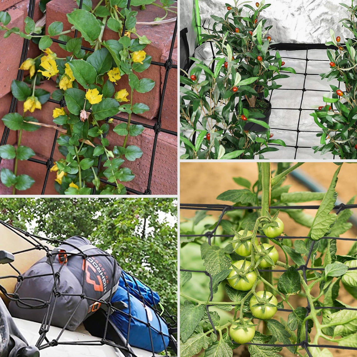 VIVOSUN 5 x 5Ft. Elastic Trellis Netting with 4 Hooks for Climbing Plants, Vegetables, Fruits, and Flowers, 1-Pack