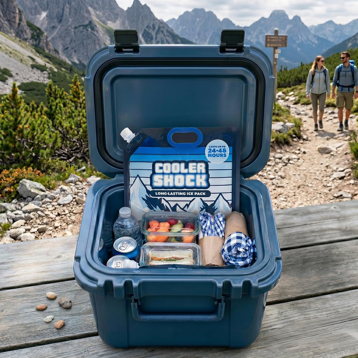 Cooler Shock 4-Pack Mid-Size 10x10 Reusable Ice Packs - Freezes to 18°F / -8°C - Long Lasting Freezer Packs for Coolers and Lunch Boxes - Camping, Fishing, Road Trips, Beach