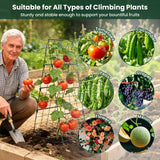 2 Pack Cucumber Trellis, 48"x16" Adjustable A-Frame Trellis for Climbing Plants, Metal Foldable Upgraded Vegetable Trellis for Raised Bed, Support for Tomatoes, Squash, Zucchini, Vegetables & Flowers