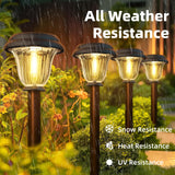 DERAYSION 8 Pack Solar Lights Outdoor, Stainless Steel Glass Solar Pathway Lights, Auto On/Off Long-Lasting Waterproof Garden Lights for Landscape, Path, Yard, Driveway, Walkway Decor (Warm White)